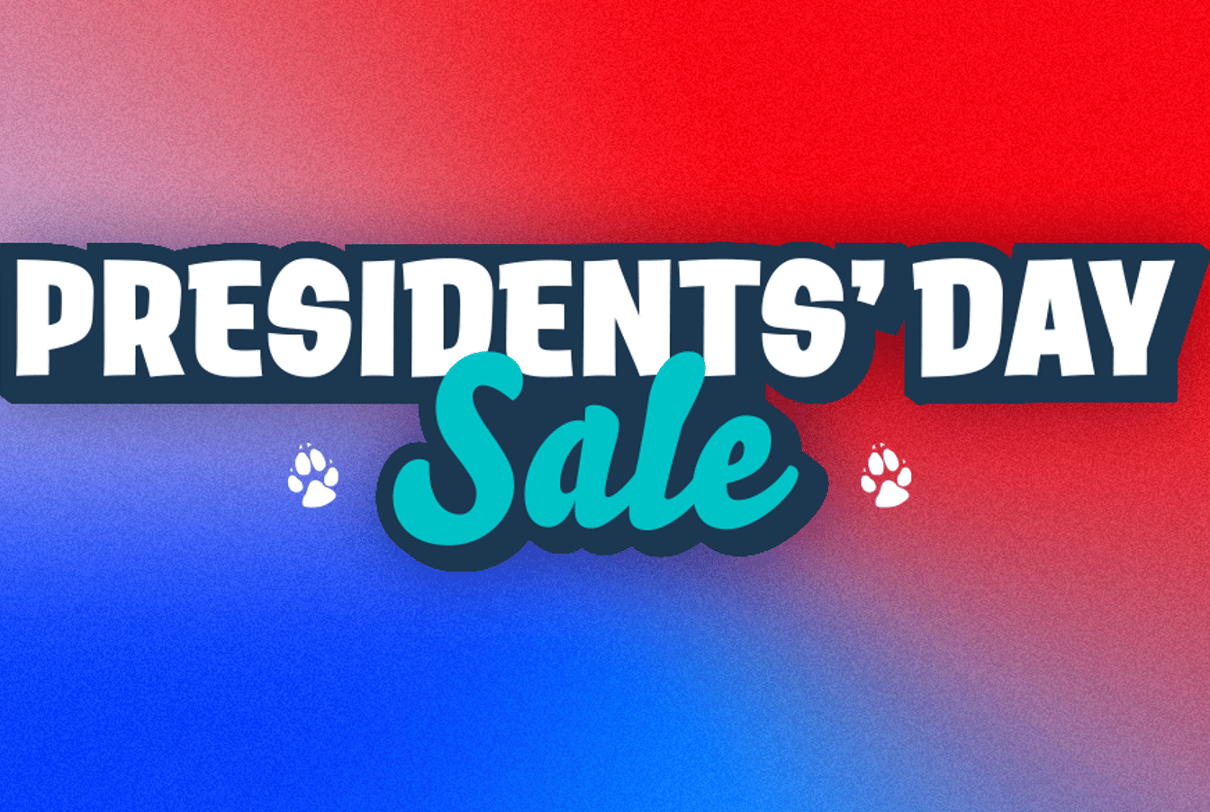 president's day sale banner